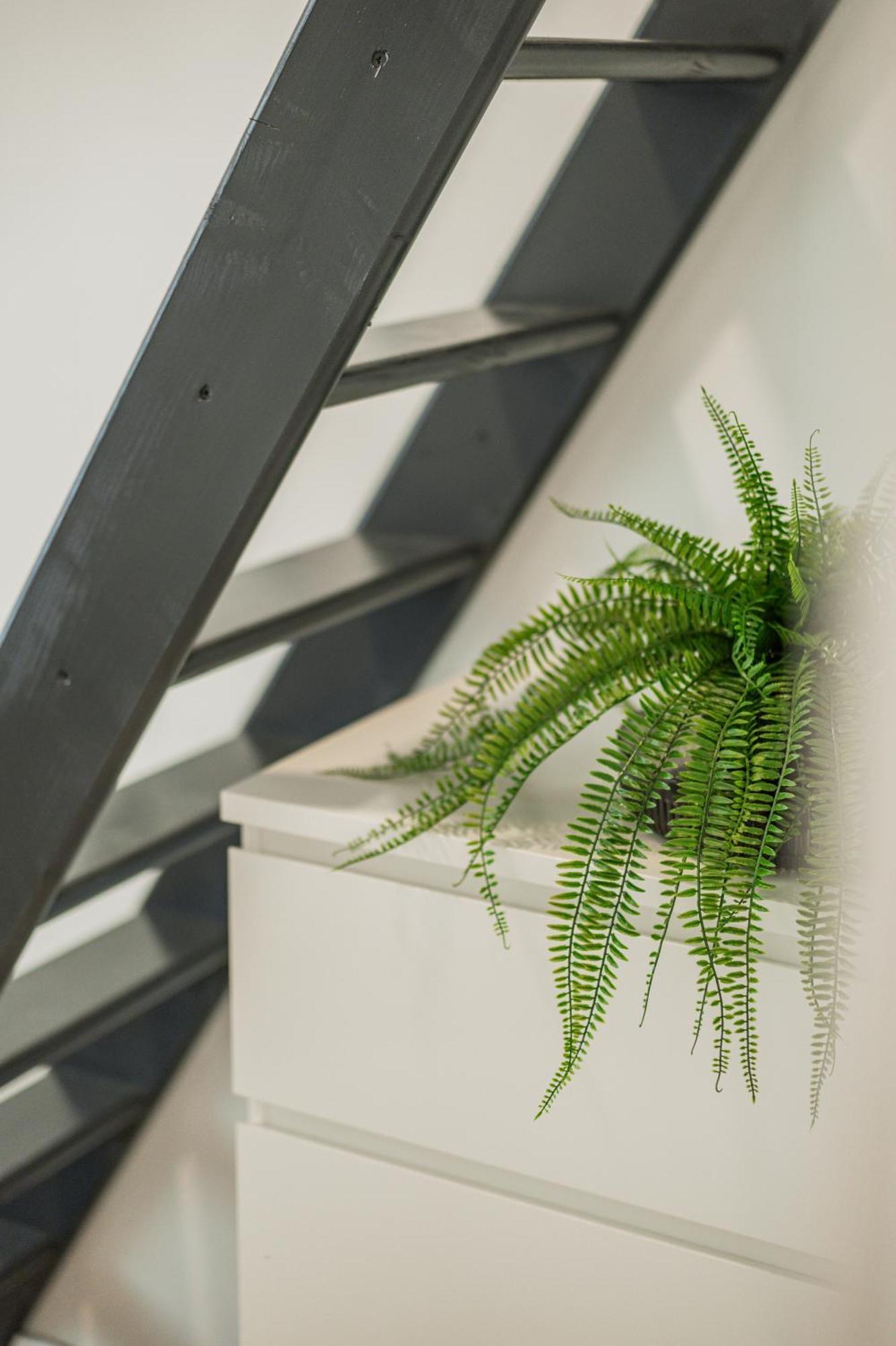 Chic Central City Rooms By Home2 Wien Eksteriør billede